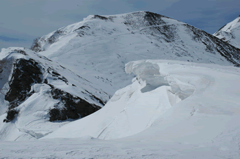 a0044453_112822.gif