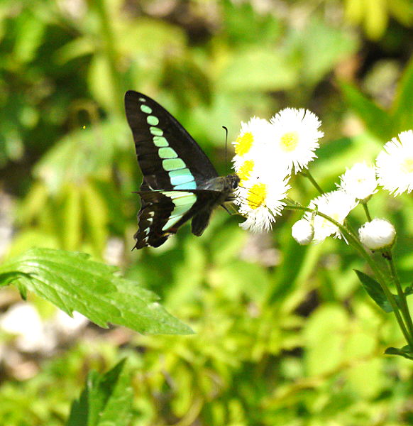 d0091754_074345.jpg