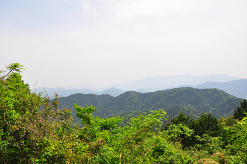 f0065556_2221539.jpg