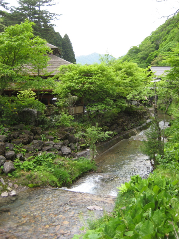 f0191656_11261268.jpg