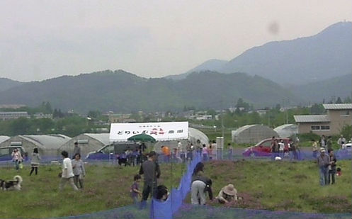 b0037160_11203131.jpg