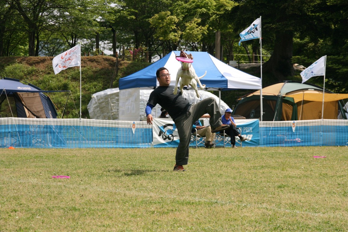 d0093462_16334655.jpg