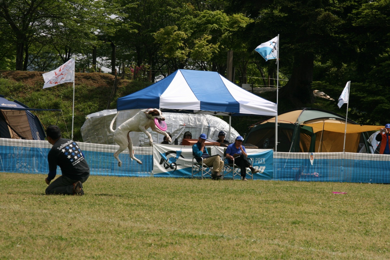 d0093462_163358100.jpg