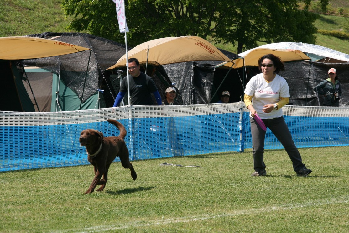d0093462_16343716.jpg