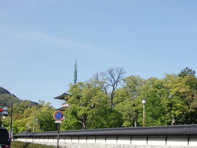 a0137263_2374762.jpg