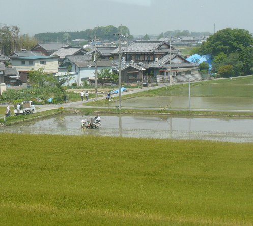 a0063364_082254.jpg