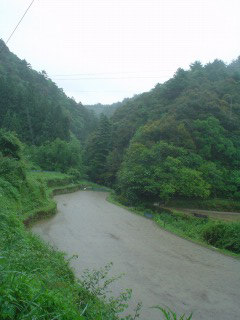 f0055264_21304561.jpg