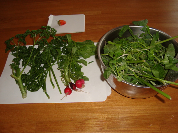 d0152765_21503574.jpg