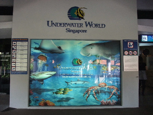 b0085766_1512048.jpg