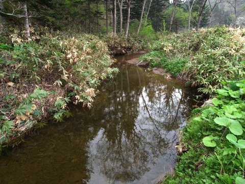 b0130166_1723474.jpg