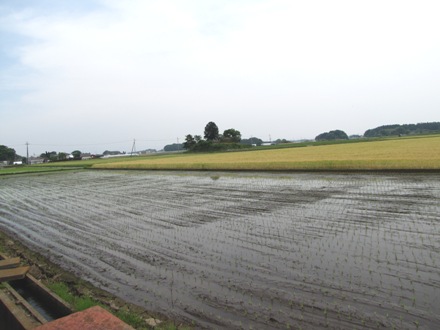 b0183566_640132.jpg