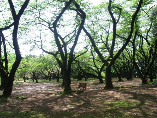 e0153367_2213669.jpg
