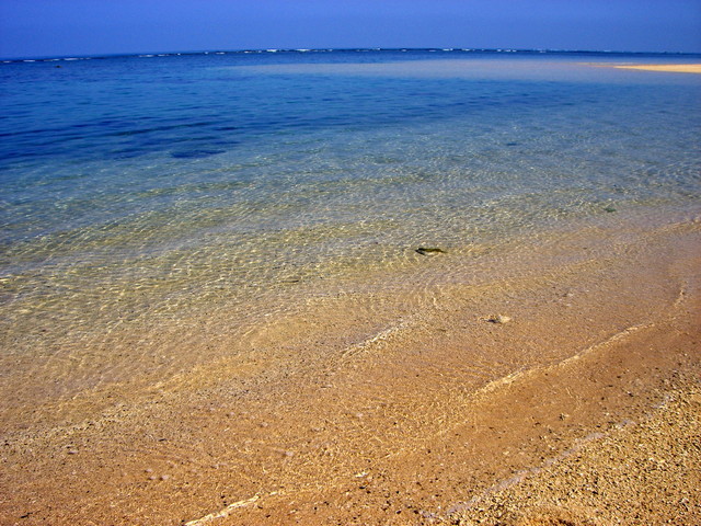 b0174068_0434564.jpg