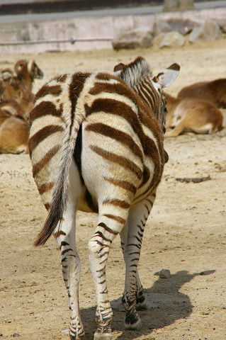 e0045768_2224089.jpg