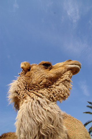 e0045768_22255670.jpg