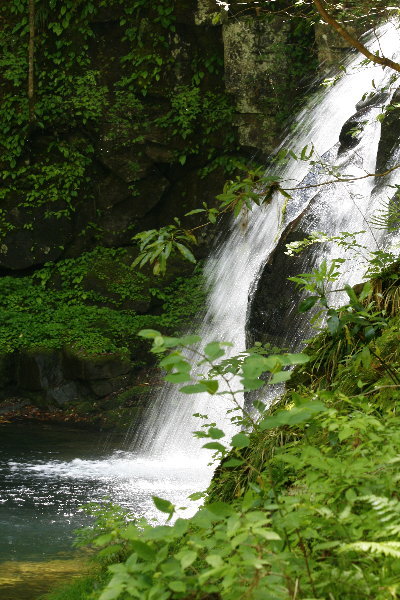 f0181173_11253246.jpg
