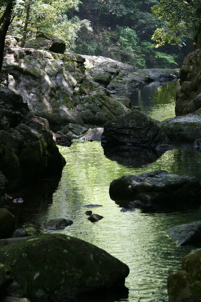 f0181173_1129342.jpg
