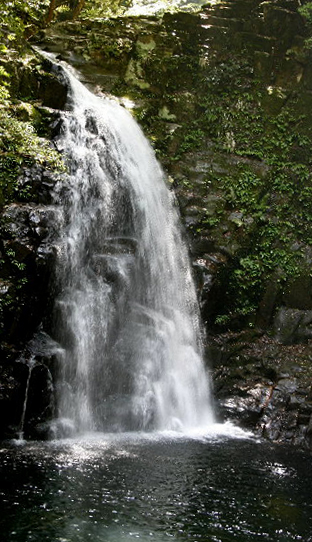 f0181173_11331270.jpg
