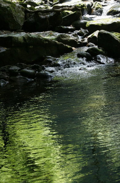f0181173_11362138.jpg