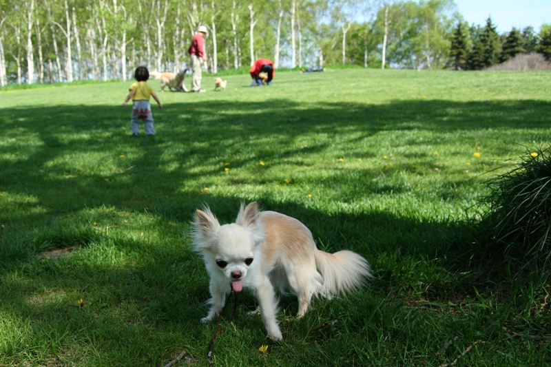 a0016775_21393687.jpg