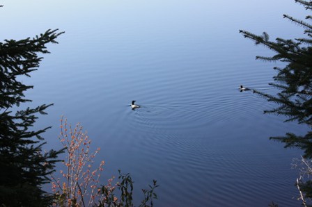 a0100975_4143678.jpg