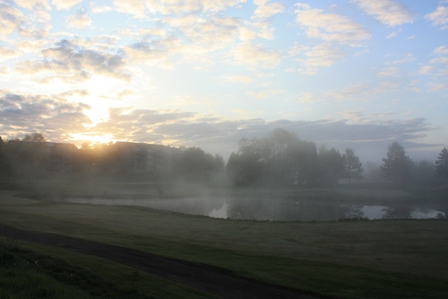 a0100975_42345.jpg
