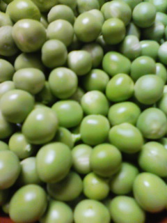 c0228378_167435.jpg