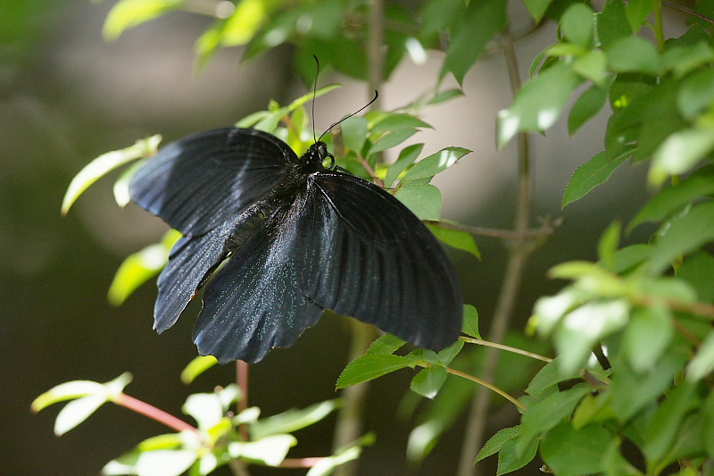 f0090680_20275298.jpg