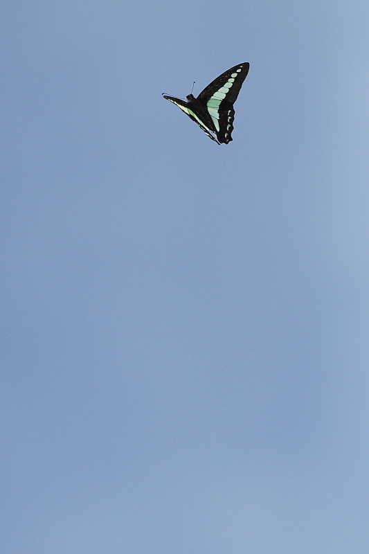 f0090680_20285920.jpg