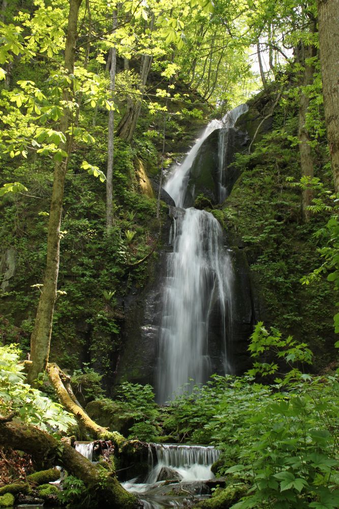 a0152184_22414771.jpg