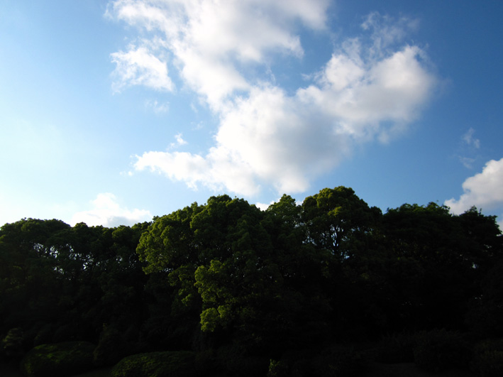 a0164984_17283275.jpg