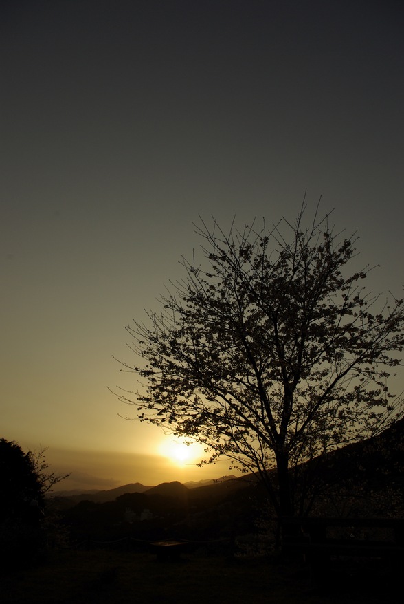 c0150986_754147.jpg