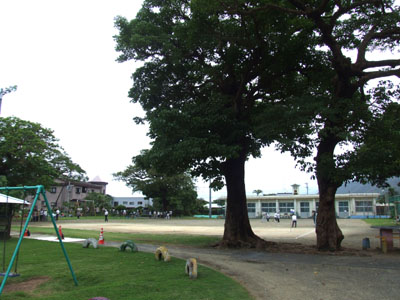 e0028387_0515835.jpg