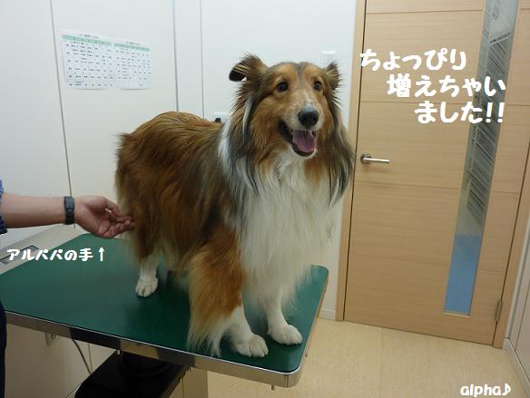 c0189388_013961.jpg