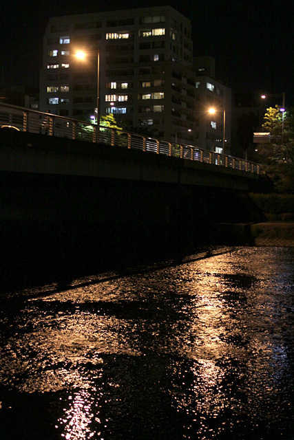b0067789_20422289.jpg