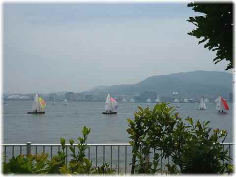 f0194690_1431468.jpg