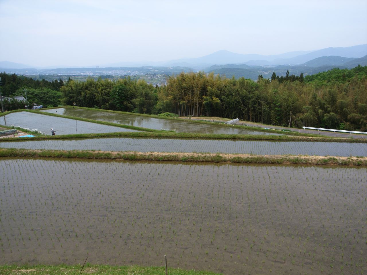 c0190391_10183014.jpg