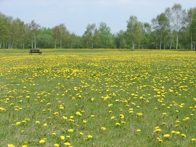 f0195891_203204.jpg