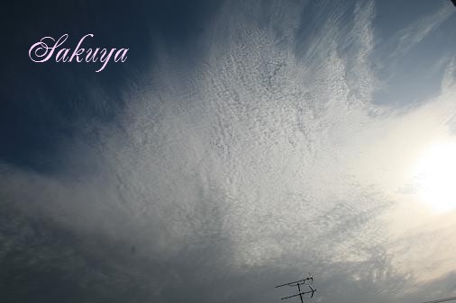 e0122194_12274838.jpg