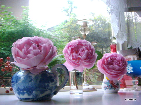 f0137694_8412964.jpg