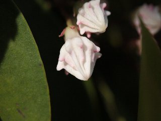 e0167295_226495.jpg