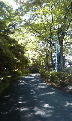 c0193396_23434140.jpg