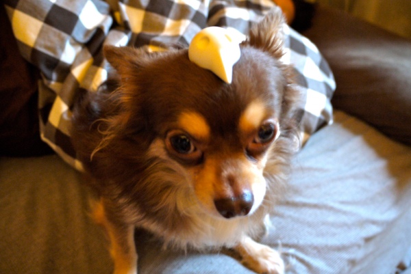 c0225297_6142034.jpg