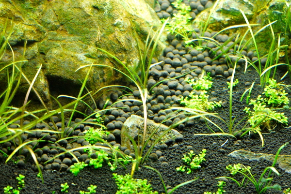 c0225297_7322033.jpg