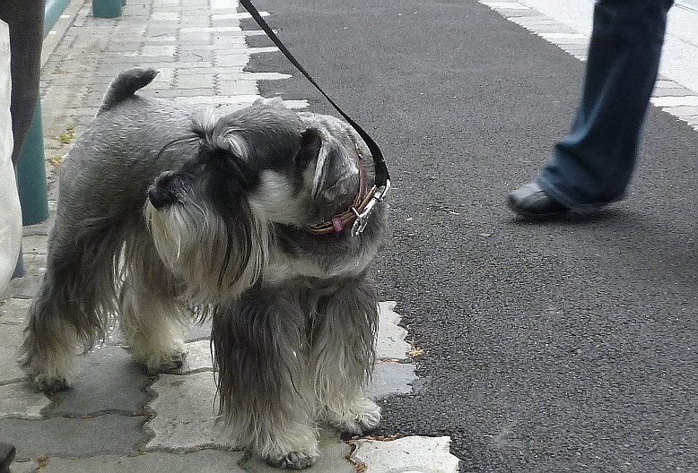 c0138198_17411218.jpg