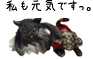 e0041500_0412550.gif