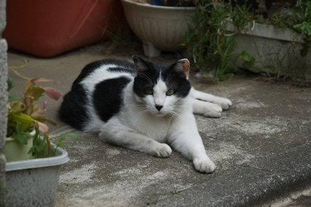 f0239100_1529733.jpg
