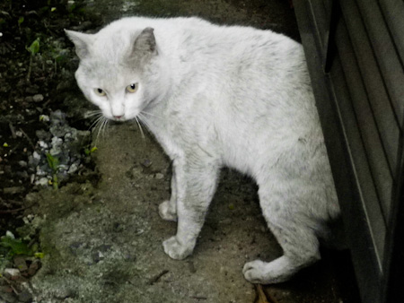 f0239100_15421416.jpg
