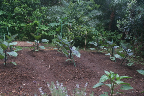 e0089001_23153632.jpg