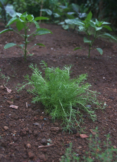 e0089001_23342590.jpg
